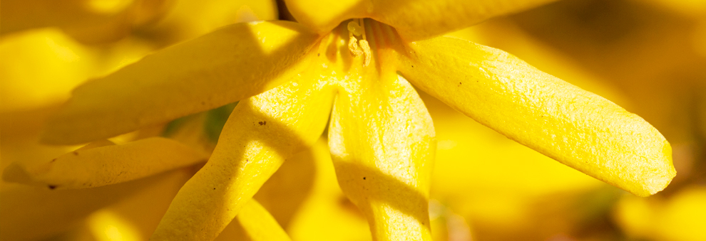 免费ddos在线攻击